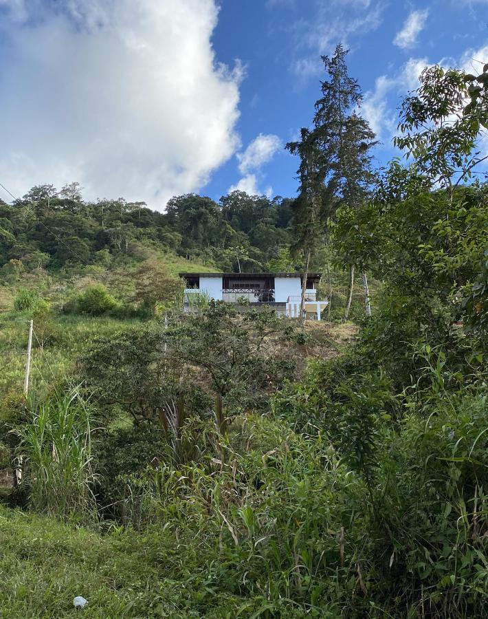 Arte De Plumas Birding Lodge Cartago Exteriér fotografie