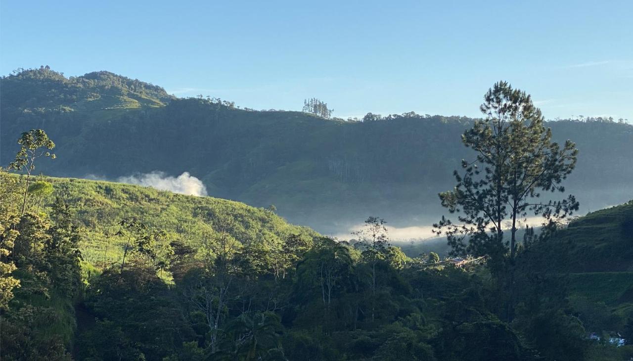 Arte De Plumas Birding Lodge Cartago Exteriér fotografie