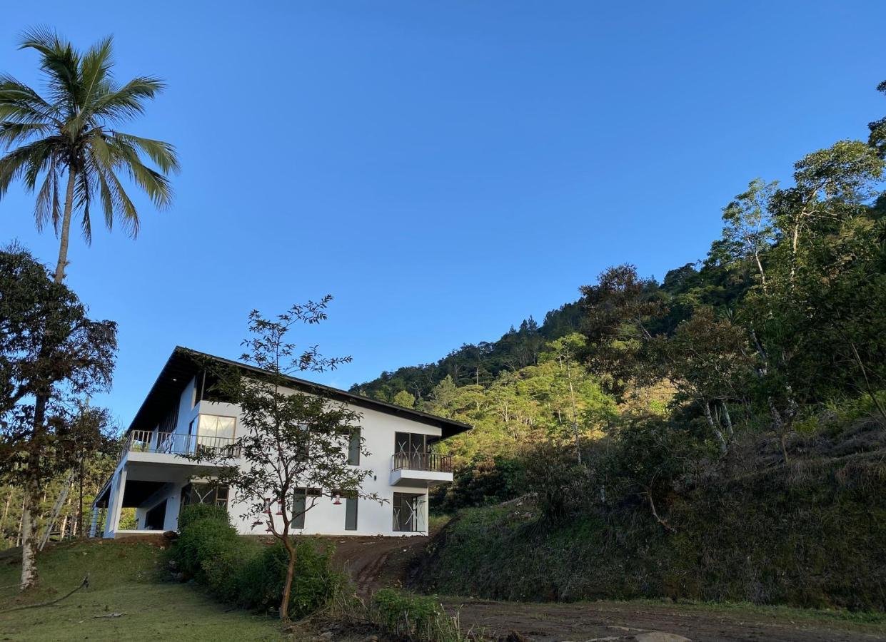Arte De Plumas Birding Lodge Cartago Exteriér fotografie