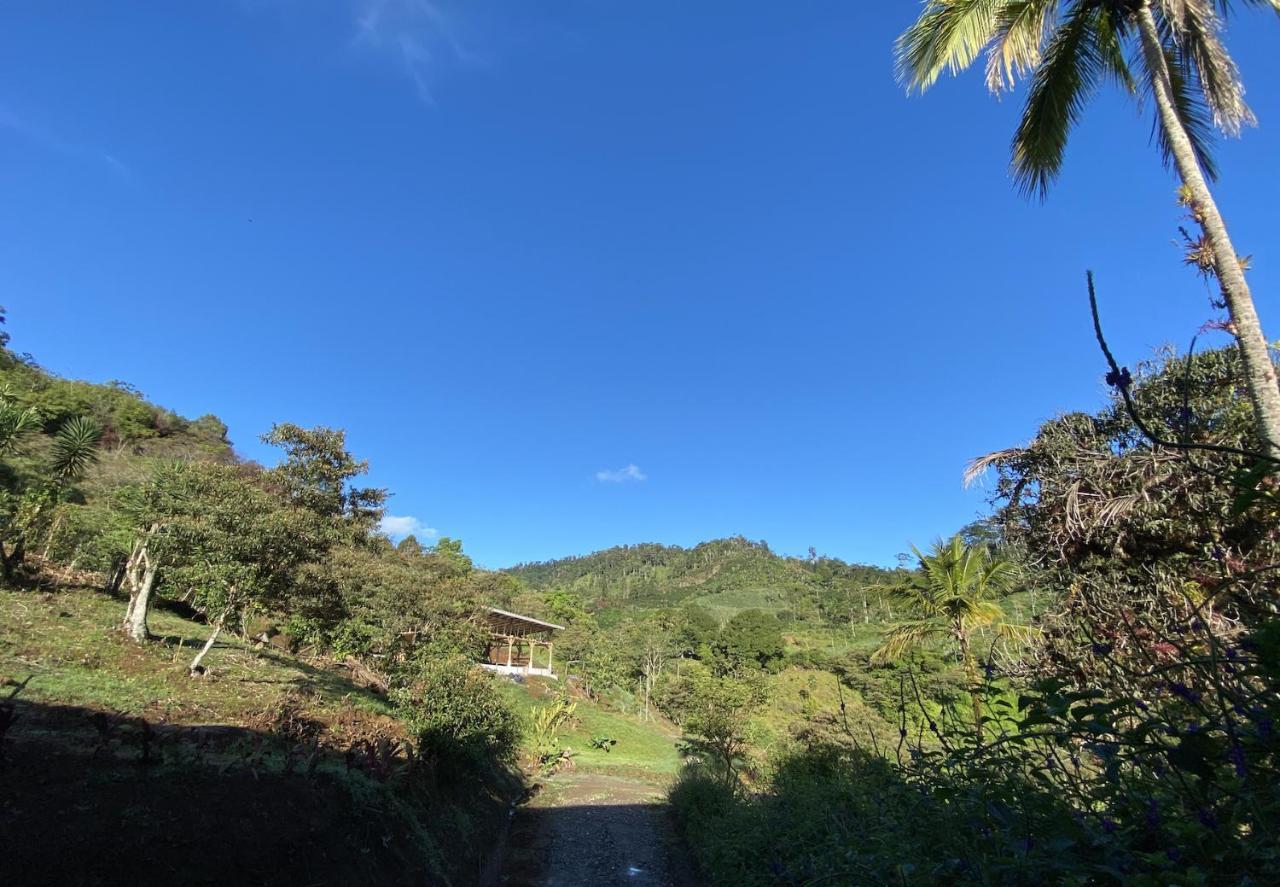 Arte De Plumas Birding Lodge Cartago Exteriér fotografie