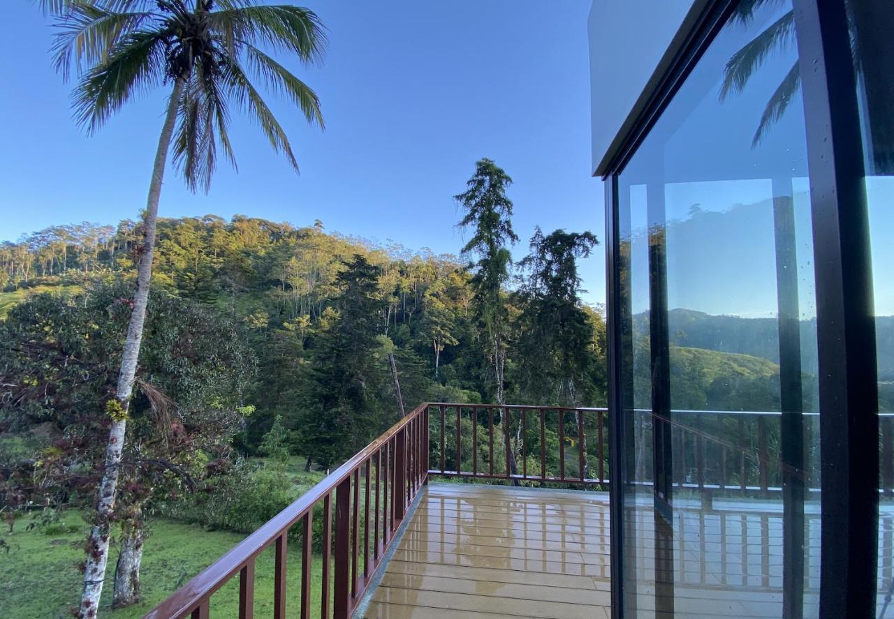 Arte De Plumas Birding Lodge Cartago Exteriér fotografie