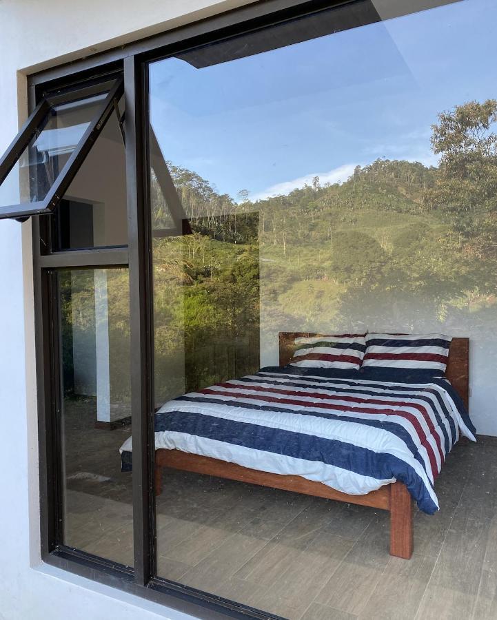 Arte De Plumas Birding Lodge Cartago Exteriér fotografie